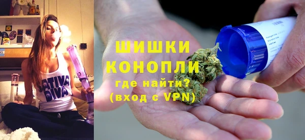 гашик Новодвинск