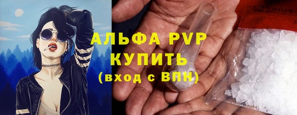 spice Новозыбков