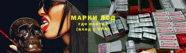 spice Новозыбков