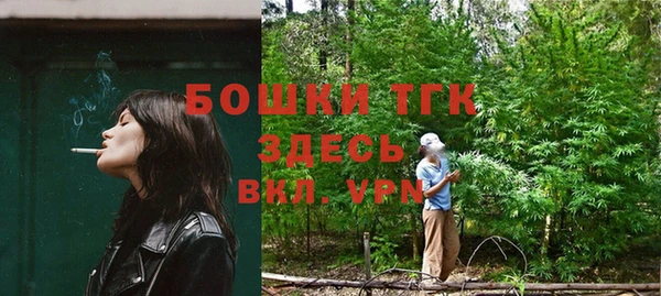 гашик Новодвинск