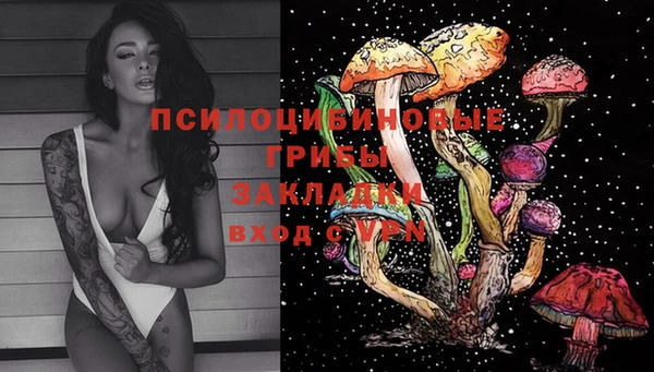 мяу мяу мука Новокубанск