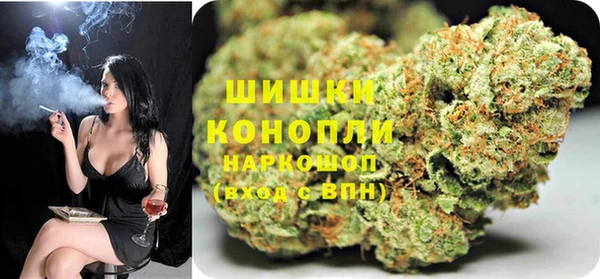 spice Новозыбков
