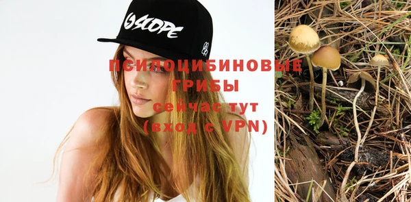 мяу мяу мука Новокубанск