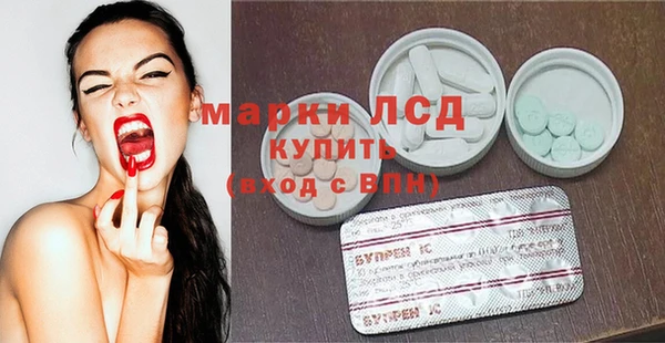 гашик Новодвинск