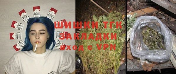 гашик Новодвинск
