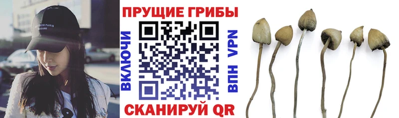 Галлюциногенные грибы Cubensis  Николаевск 
